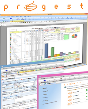 Software Gestionale - Software Gestionale Personalizzato